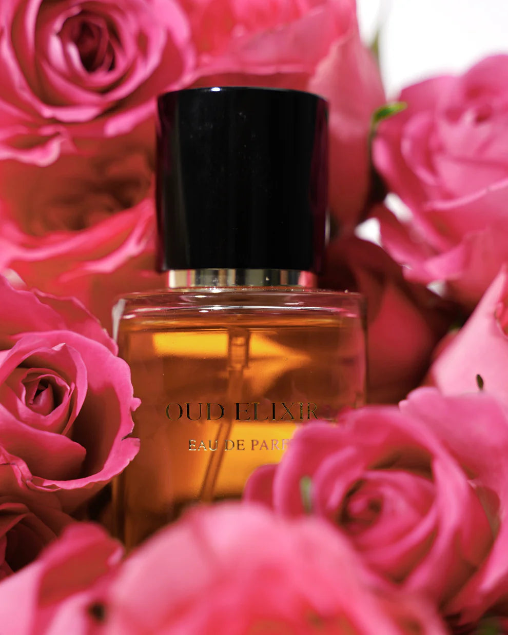 OUD ELIXIR Eau de parfum 50ml