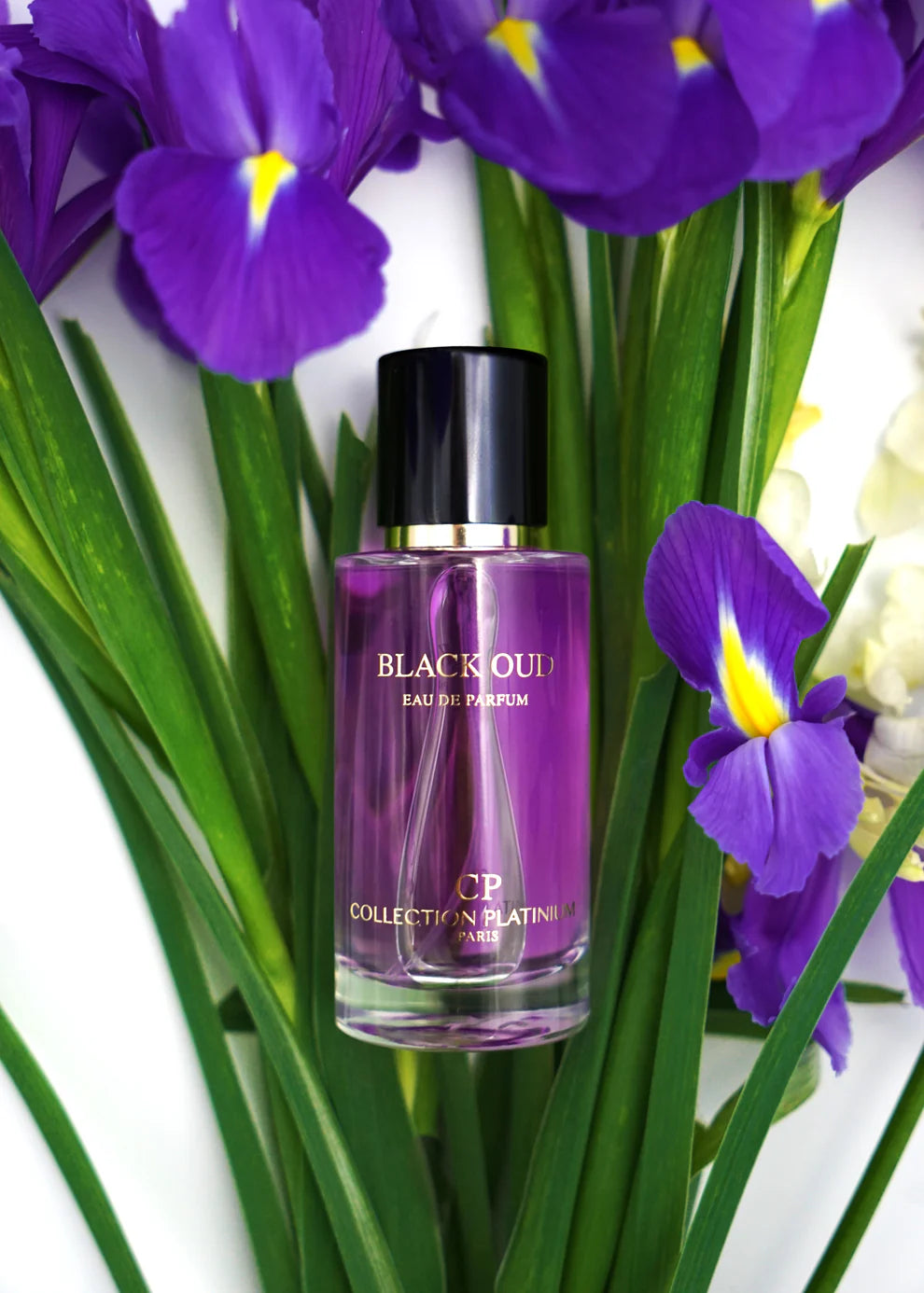 SCHWARZ ALT • 50 ml