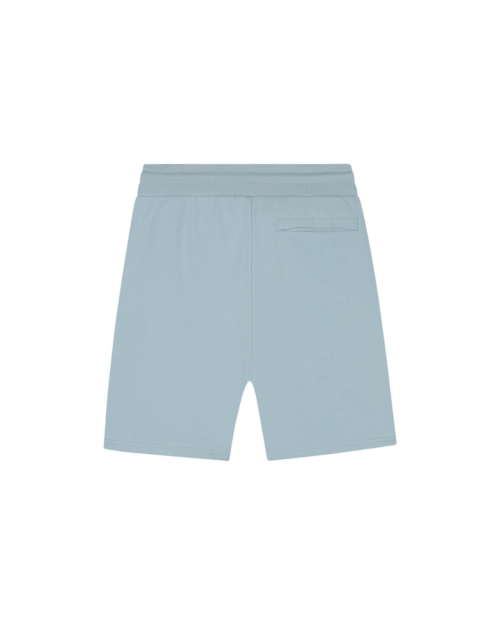 Malelions Heren Captain Shorts | Ice Blue